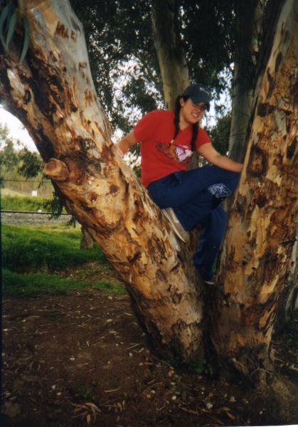 AL-JAIMA