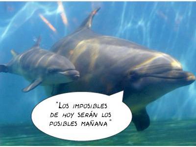 QUE BONITO