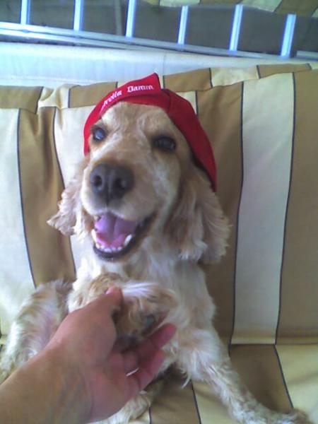 MI BELLE
